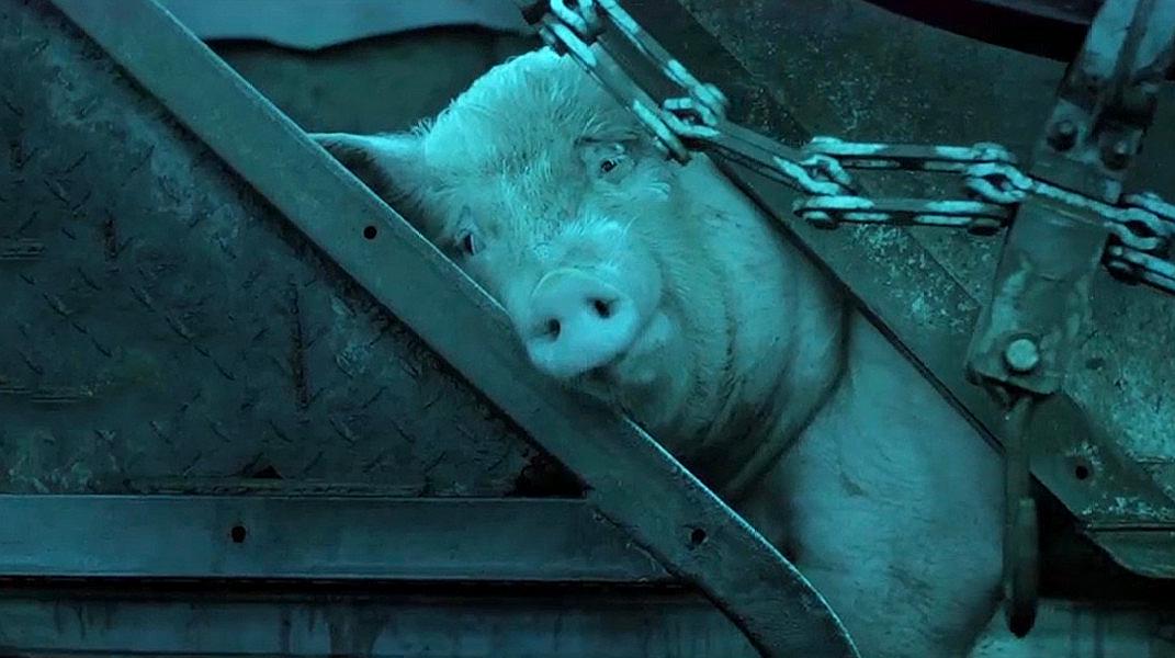 电影解说《猪肉与月亮》,女人在屠宰场工作,走哪到哪都是猪肉味