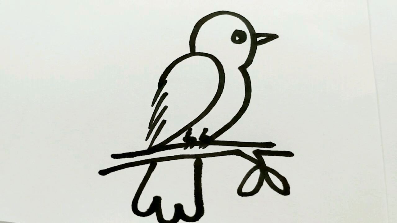 一只小鸟的简笔画图片