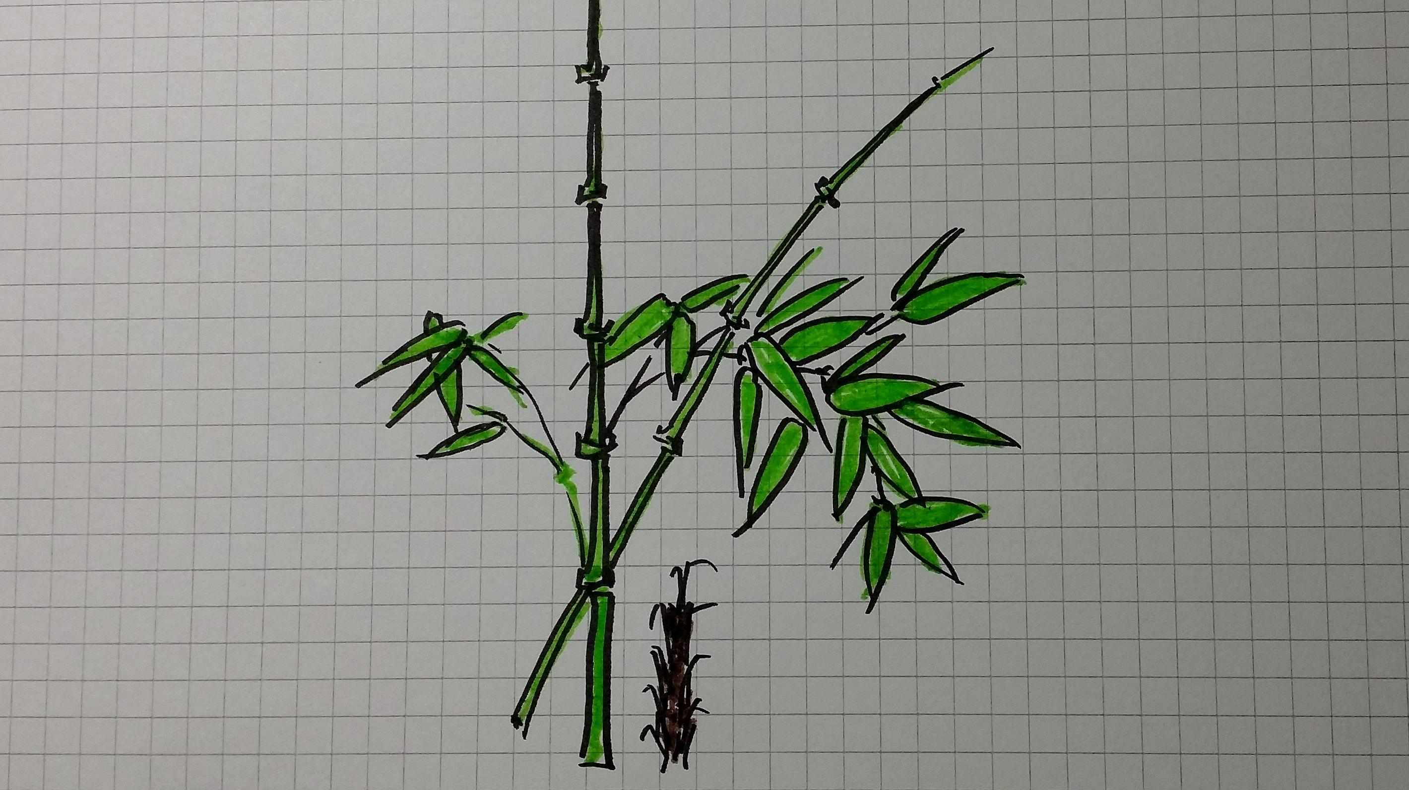 如何画竹子 竹子的画法教程最新 - 第 3 - 水彩迷