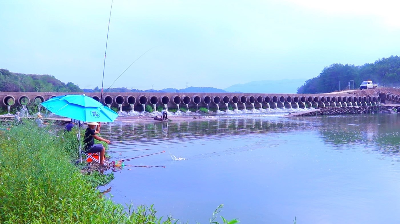 农村大河野钓,野生鲫鱼鲤鱼连竿上,看着就过瘾