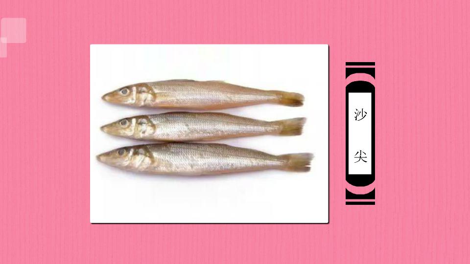 「秒懂百科」一分钟了解沙尖