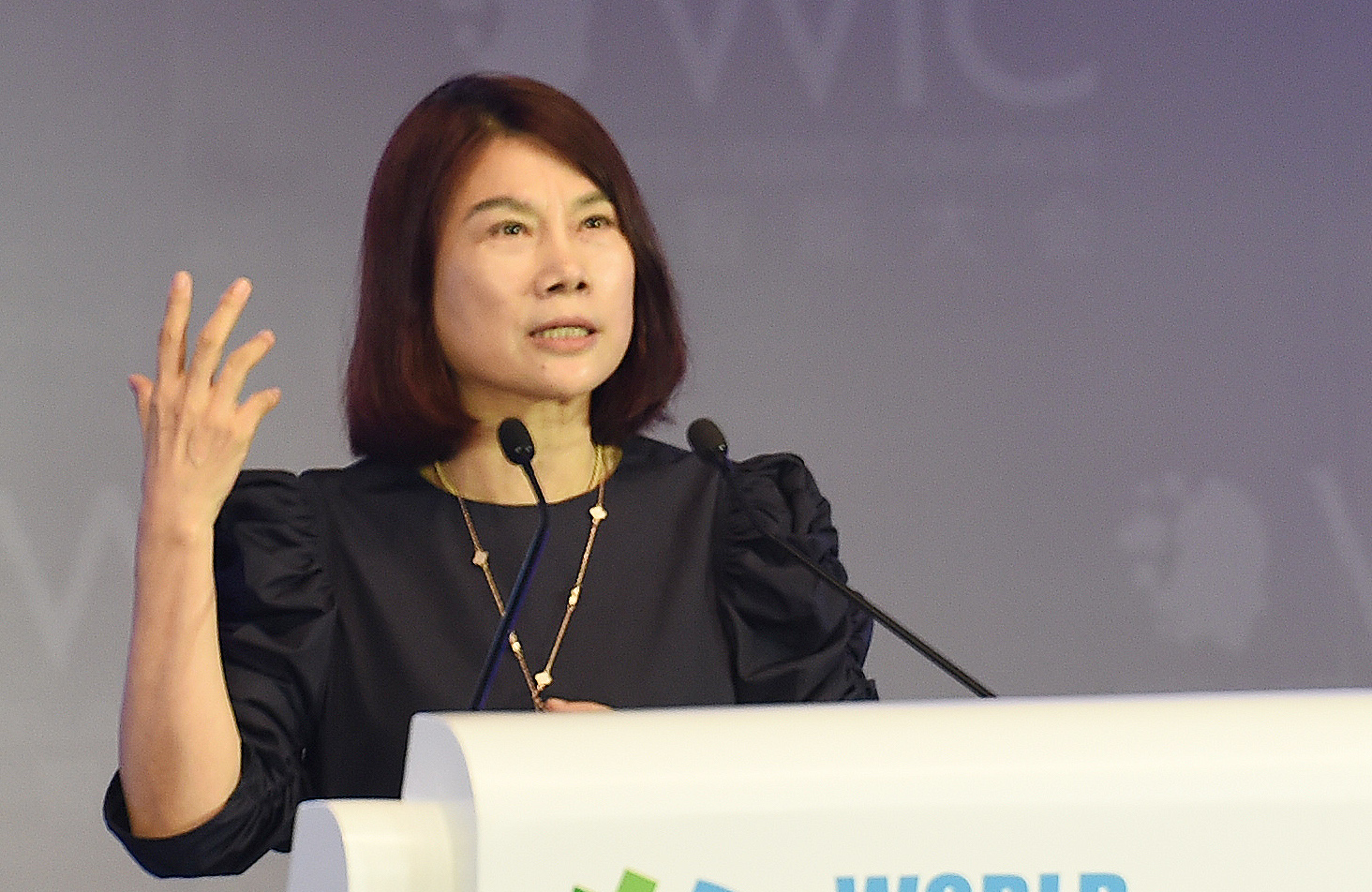 董明珠:中国的汽车行业有点粗制滥造