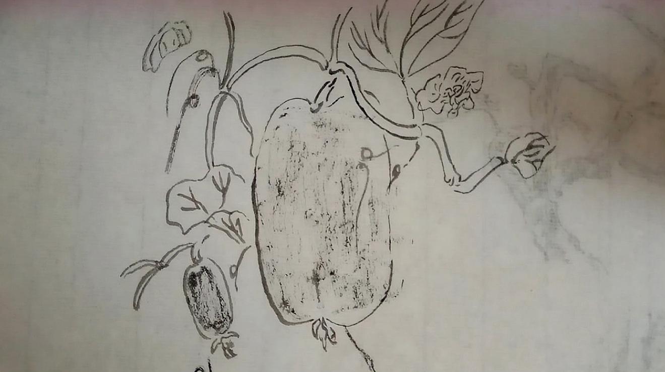 国画白描牡丹的组合画法,简单好学 2国画蔬菜:白描法画冬瓜,书法用笔