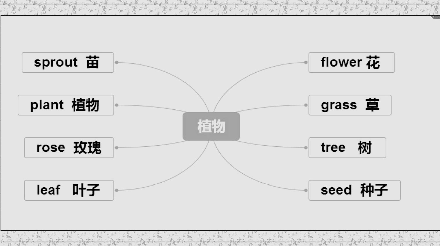 100个英语单词思维导图