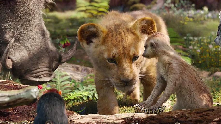 小狮子吃虫长大,成年后吼一声就能吓跑狮群,成为森林霸王