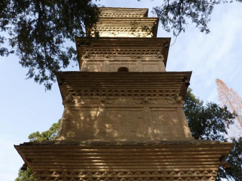「秒懂百科」一分钟带你游遍兴教寺塔