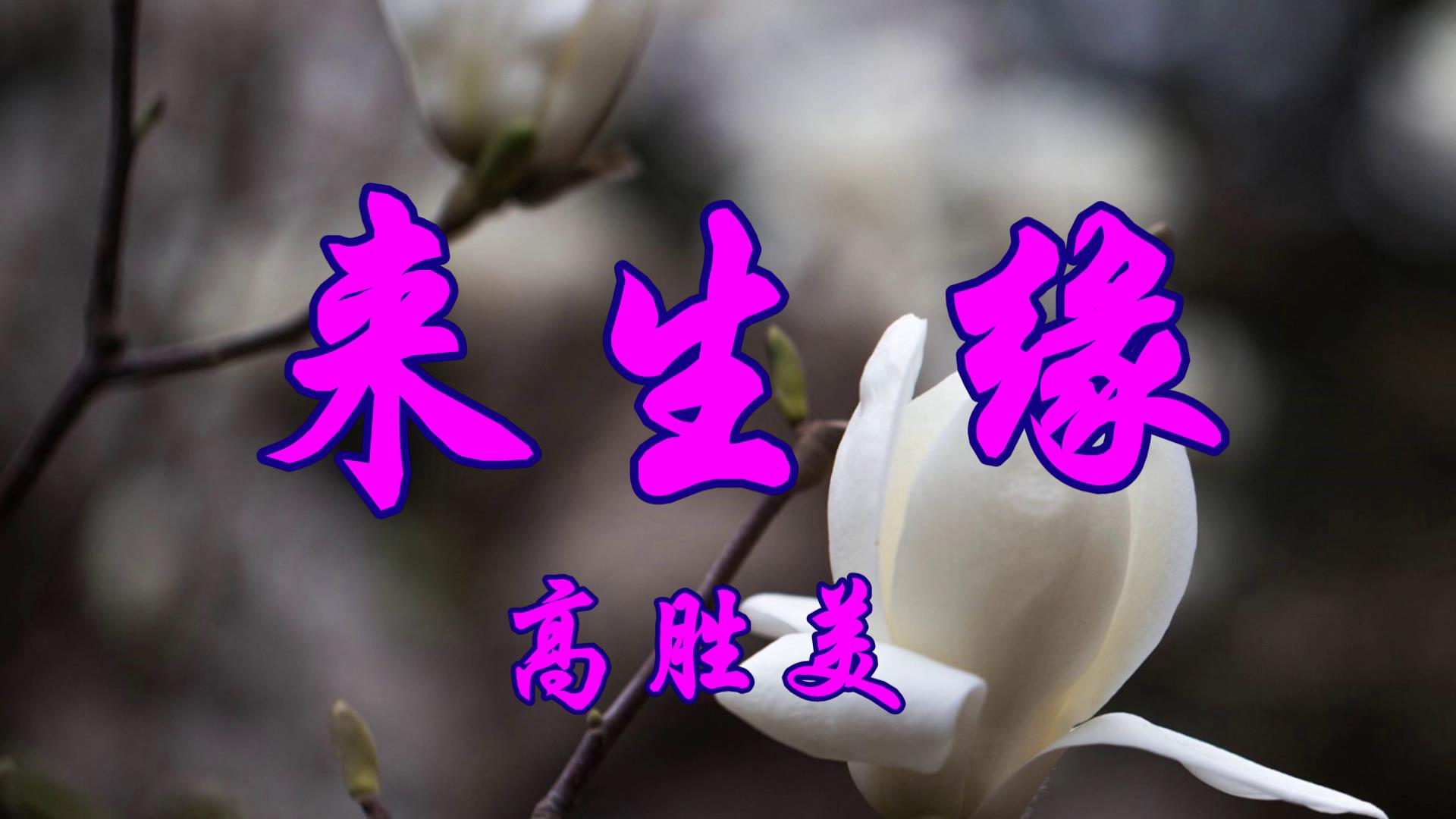 原唱金曲刘德华经典原唱来生缘4个视频