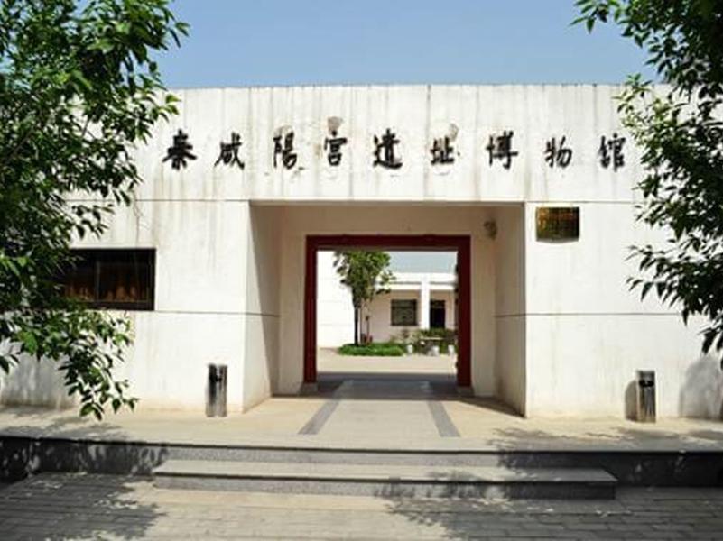 「秒懂百科」一分钟带你游遍秦咸阳宫遗址博物馆