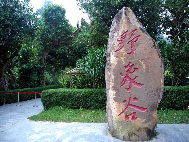 一分钟带你游遍野象谷