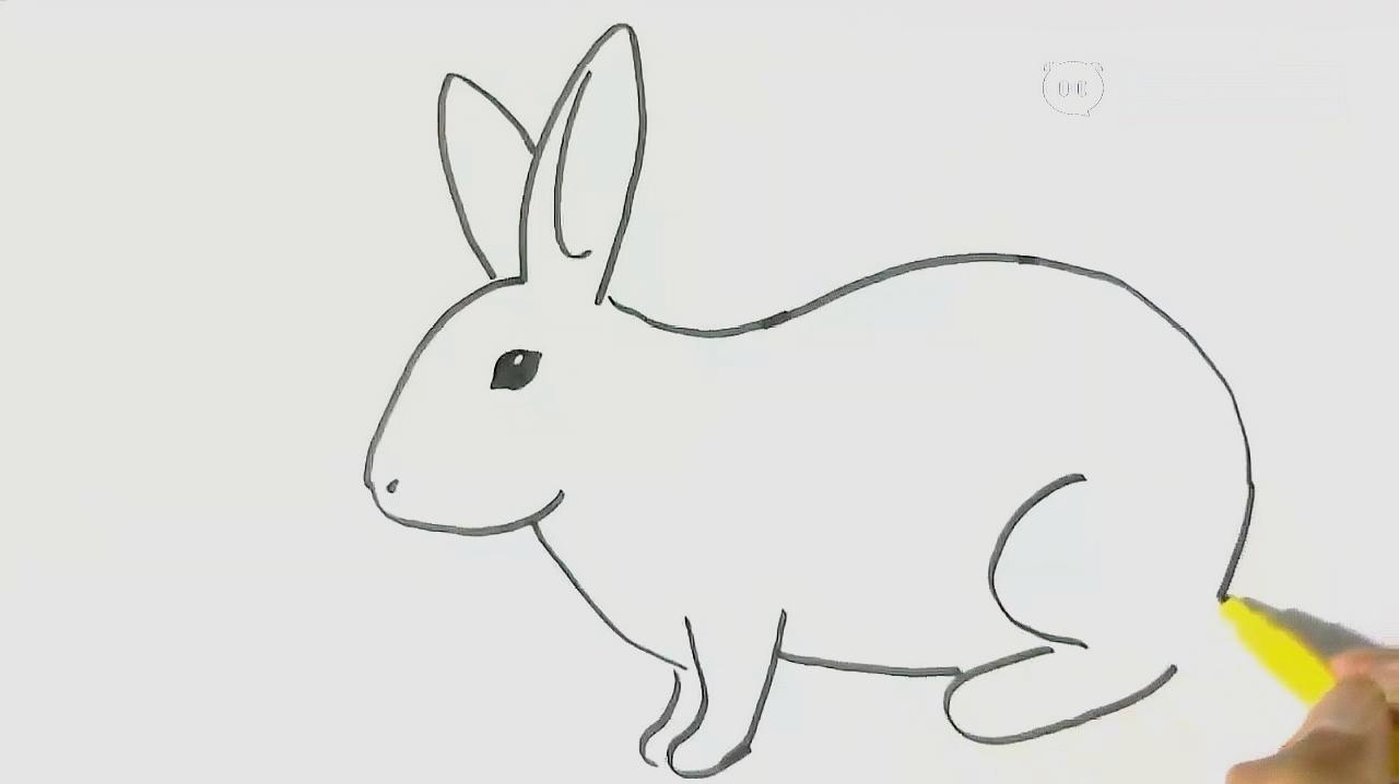 兔一笔画图片