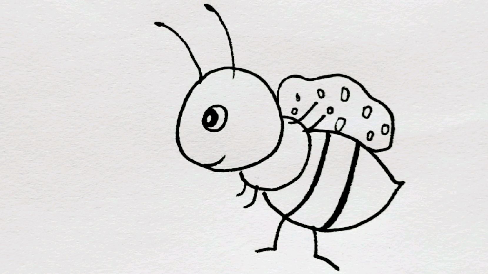 儿童昆虫简笔画简单易学6个视频