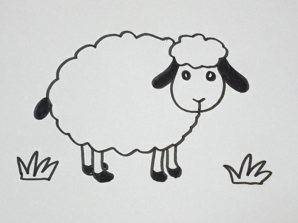一笔画羊 绵羊图片