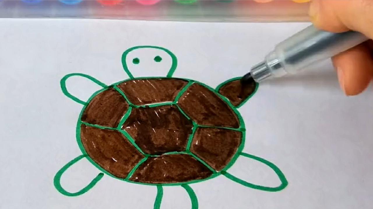 乌龟怎么画才好看贴纸图片