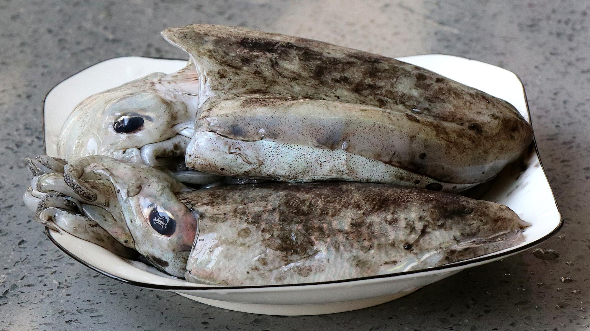 墨鱼丸怎么做更美味6个视频