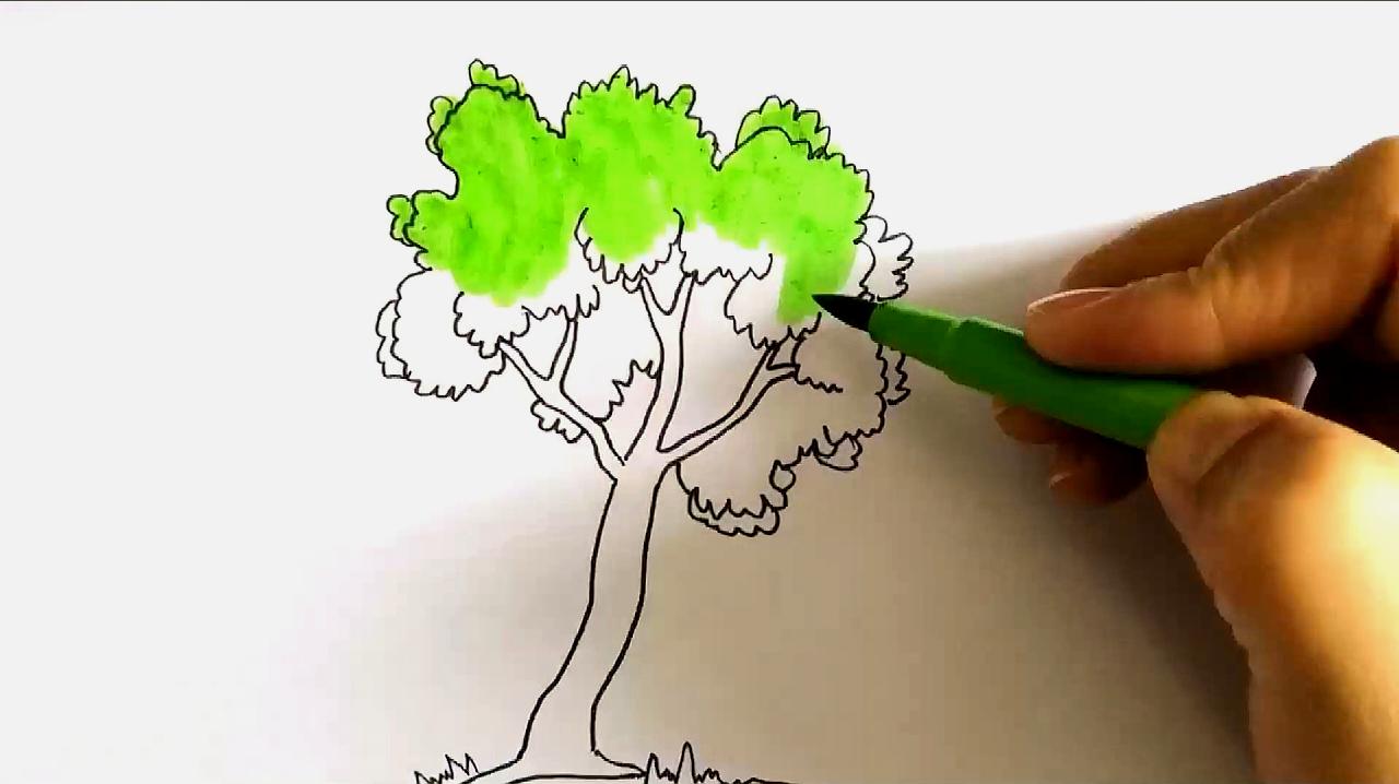 树简笔画,画一颗茂密的大树,2分钟就能做到