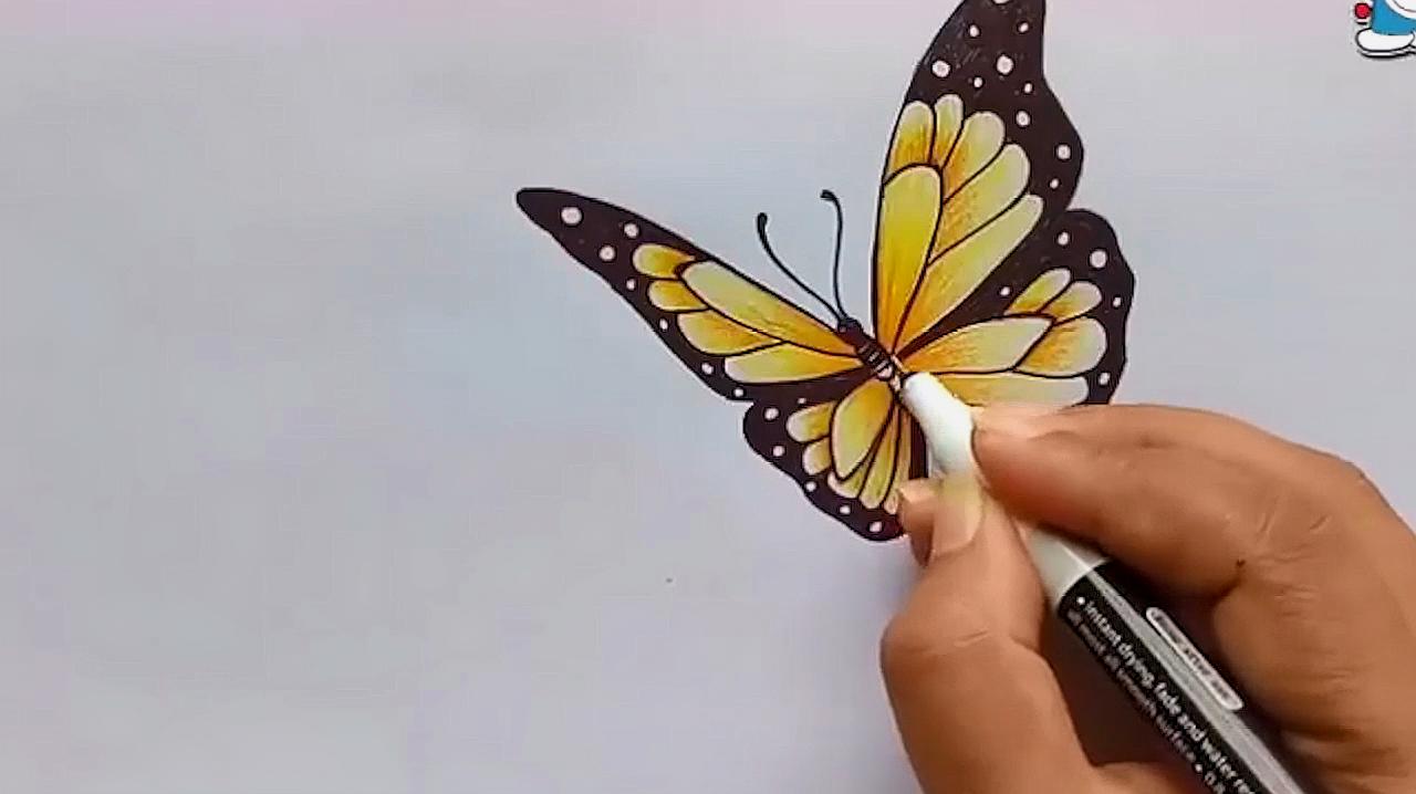 蝴蝶的嘴巴怎么画图片