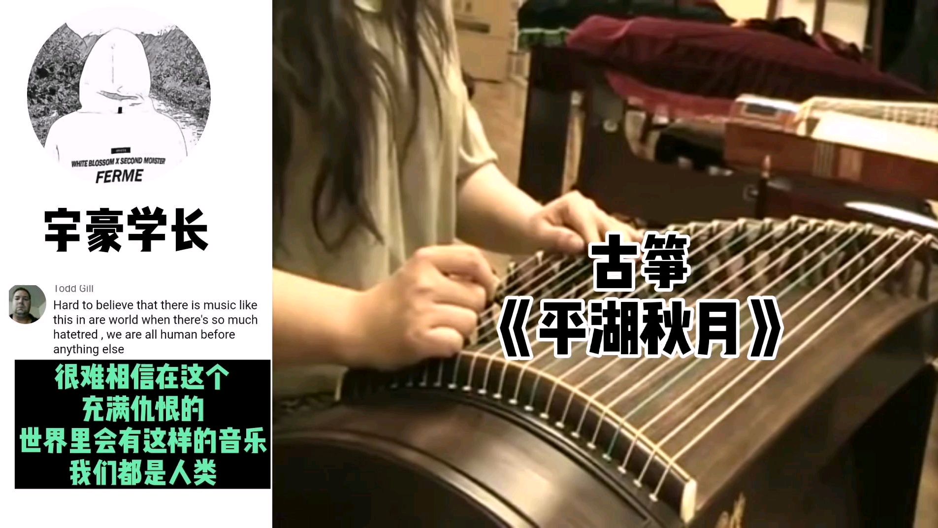 古筝演奏《平湖秋月》,宁静淡雅直击灵魂