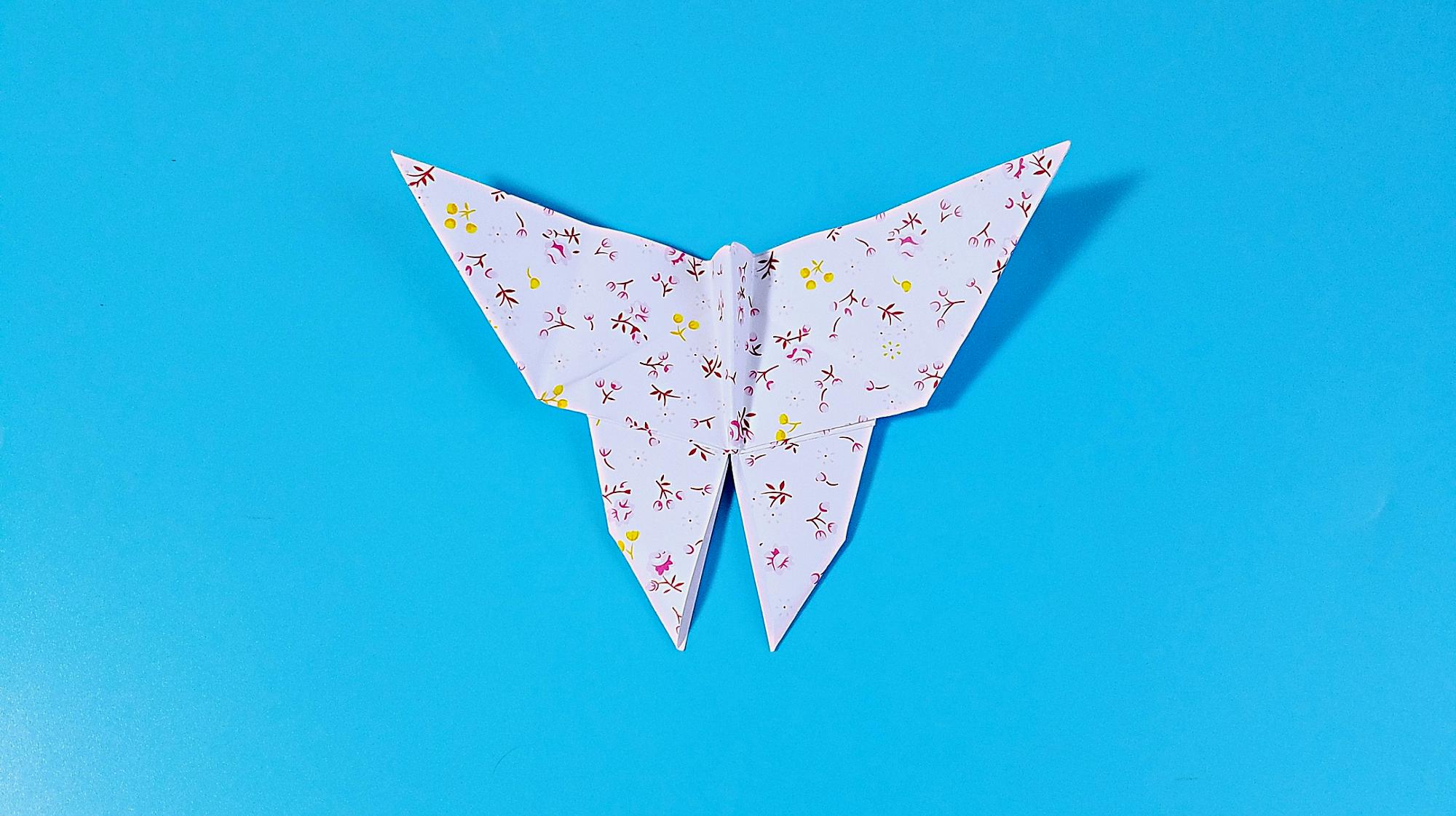 教你折纸蝴蝶,简单易学