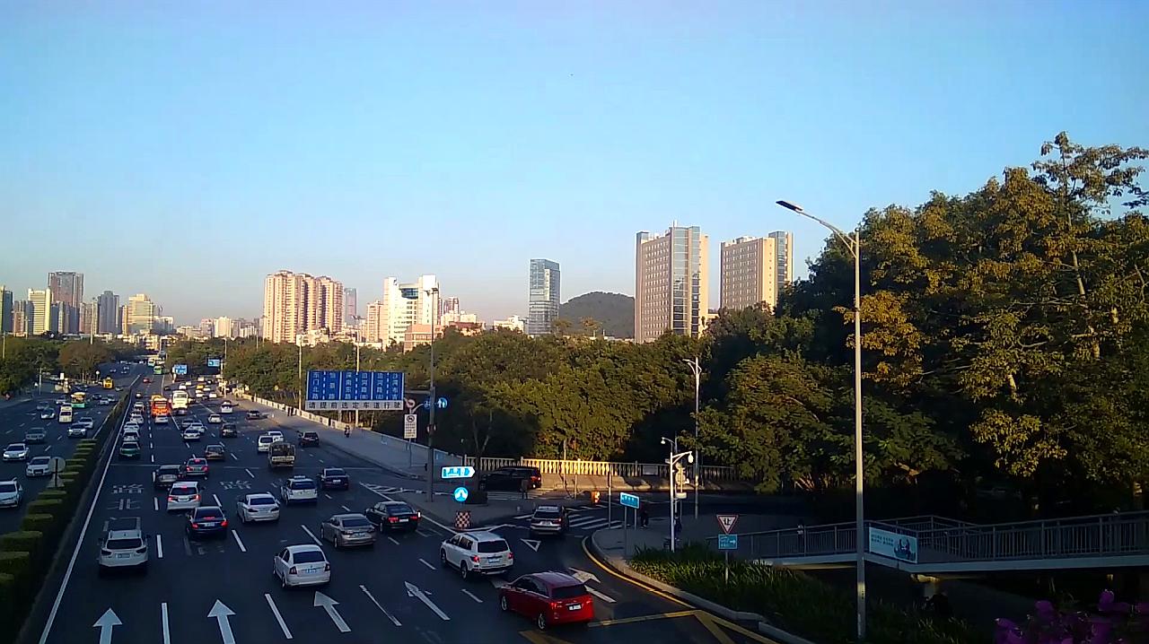 早晨,繁忙的深圳罗沙路与东湖公园一景