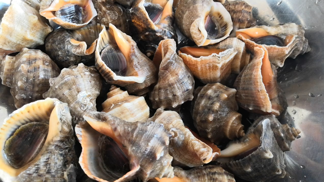 海螺的做法有哪些