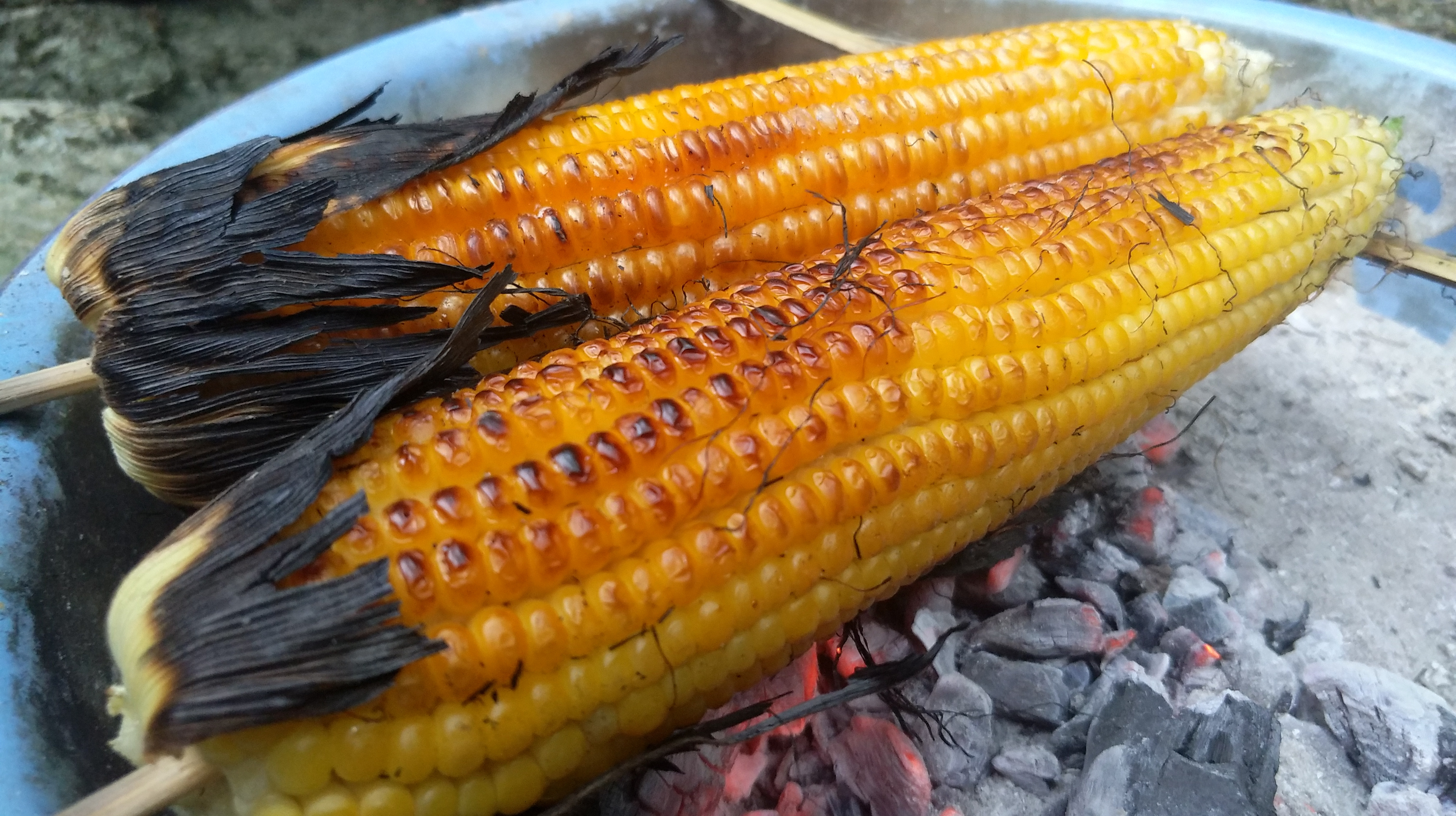 玉米成熟了,农村小伙烧烤着吃,又香又糯,两个不够吃