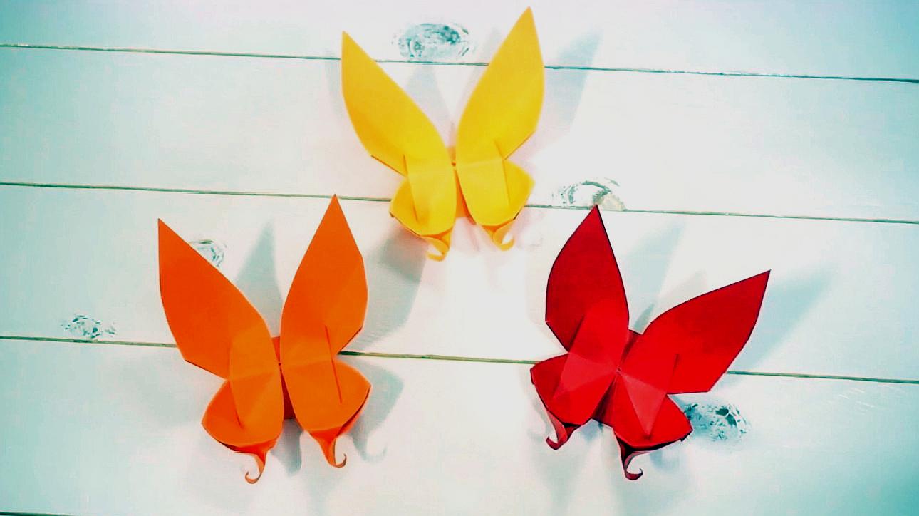 蝴蝶的折纸教案图片