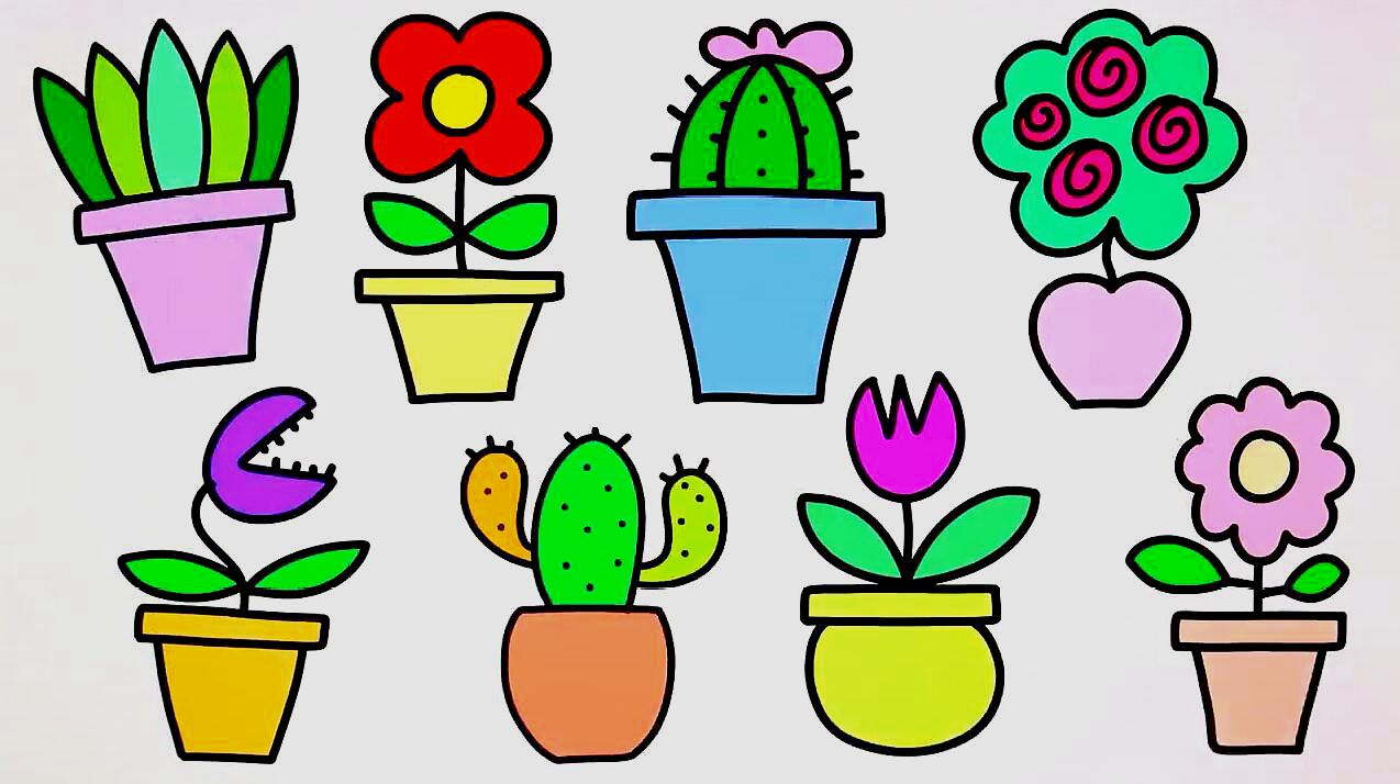 儿童早教绘画视频,教孩子们绘制8种室内植物