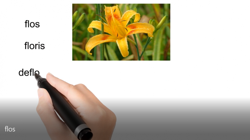 Jasonenglish 学英语词源知识 教学合集 八