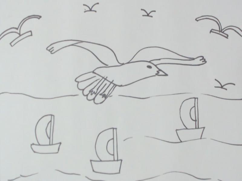 海鸥的画法图片