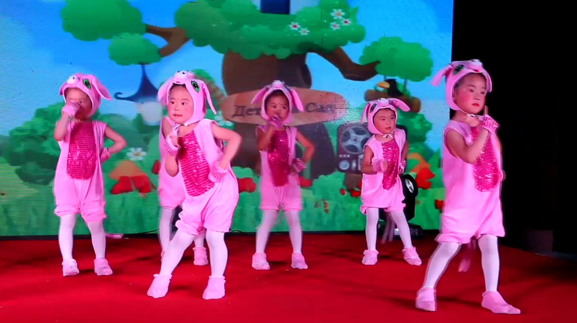 儿童律动舞蹈《猪猪侠》可爱又简单适合小朋友跳的舞蹈-bili_22175221967-幼儿早操舞蹈-哔哩哔哩视频