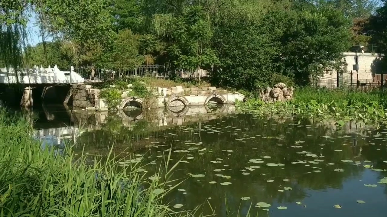 带你徒步圆明园——线法桥