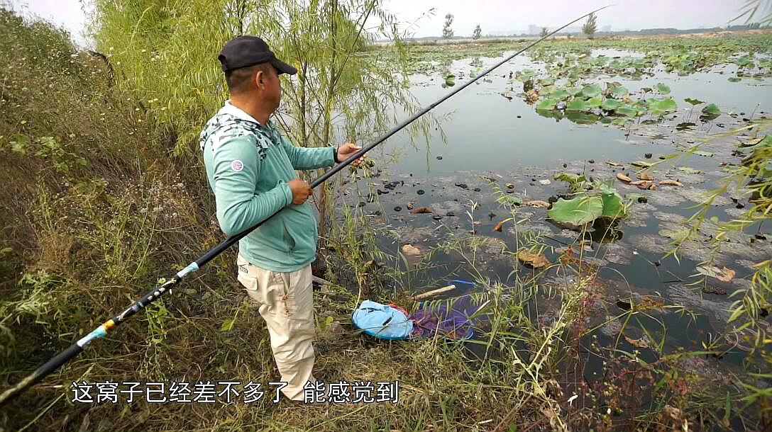 鯽魚垂釣李大毛釣鯽魚視頻集錦看看李大毛是怎麼釣鯽魚的